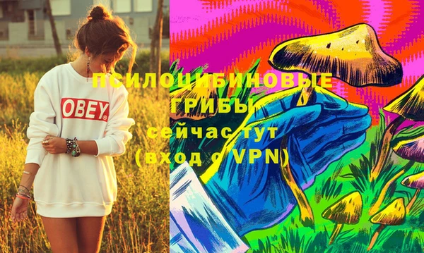 прущие крисы Нязепетровск