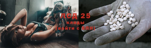 дживик Новозыбков