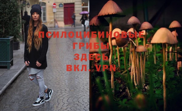 дживик Новозыбков