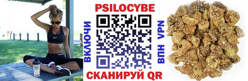 Псилоцибиновые грибы Cubensis  купить наркоту  Костерёво 