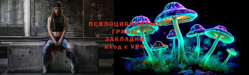 Псилоцибиновые грибы Cubensis  Костерёво 