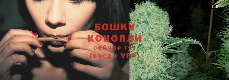 Канабис OG Kush  Костерёво 